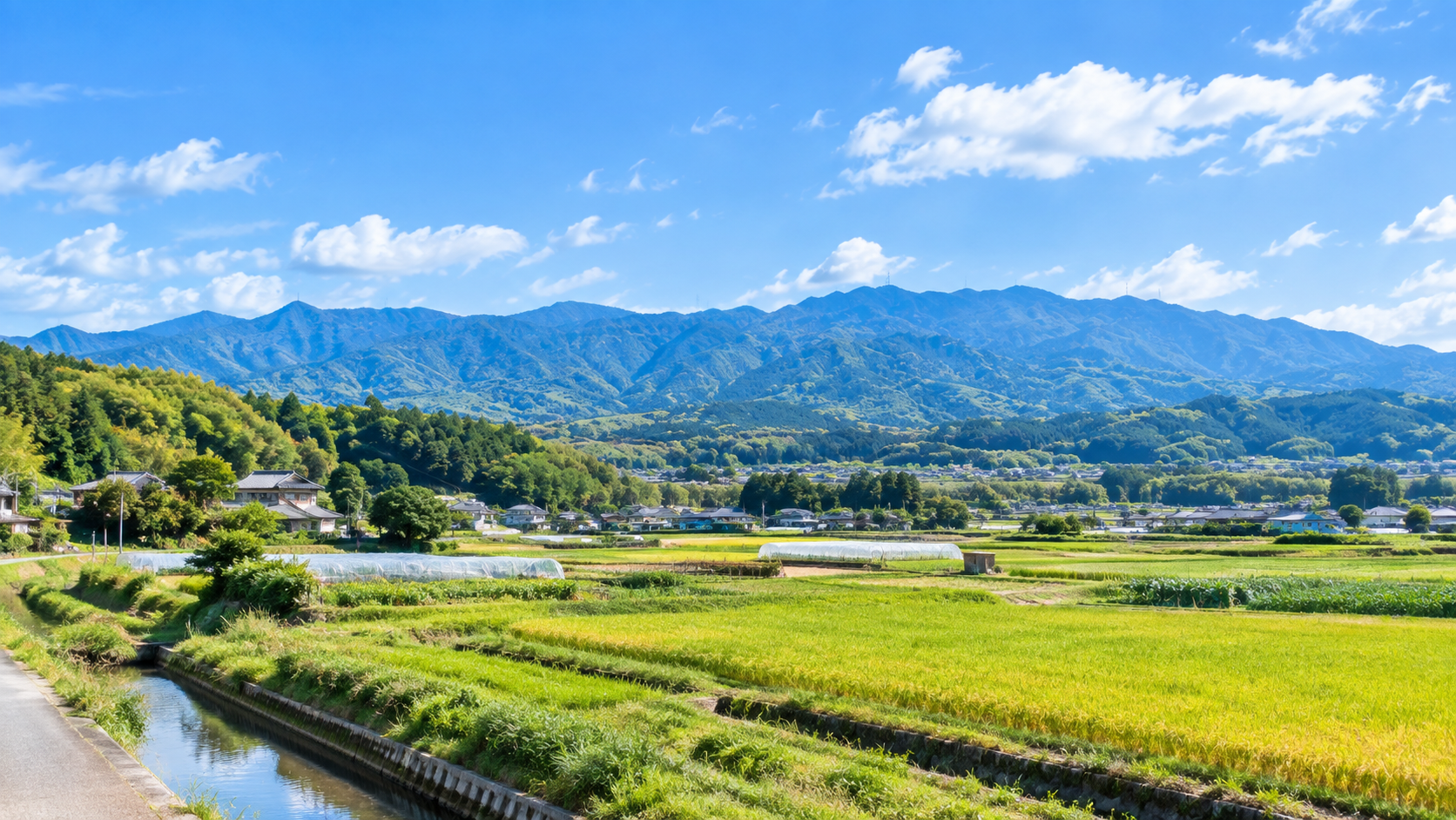 大阪府南河内郡河南町の住宅街・自然の風景